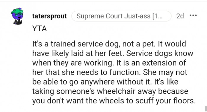 Service dogs know when they are working