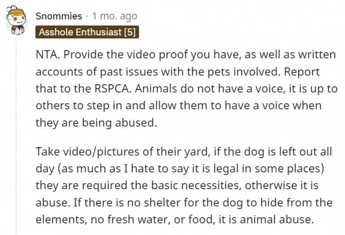 4. Animals don't have a voice, and it is up to us humans to give them a helping hand when they need it