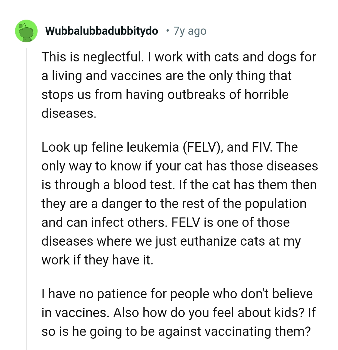 Only a blood test can detect if the cat has an infection