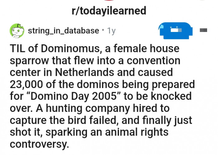 Redditor u/string_in_database shares an interesting piece of information with the TodayILearned subreddit group
