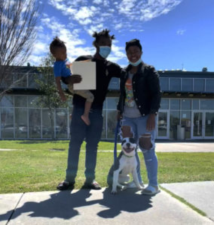 It seems that Cow was stolen and then dumped. Luckily, he is back with his family now