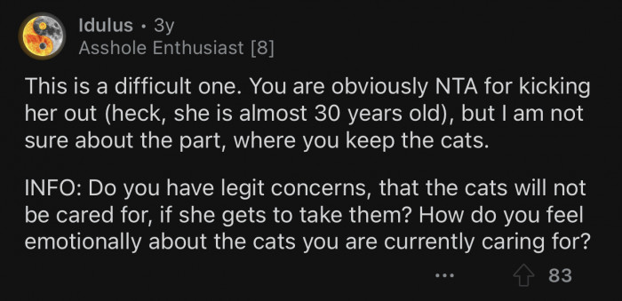 OP should not take her daughter's cats.