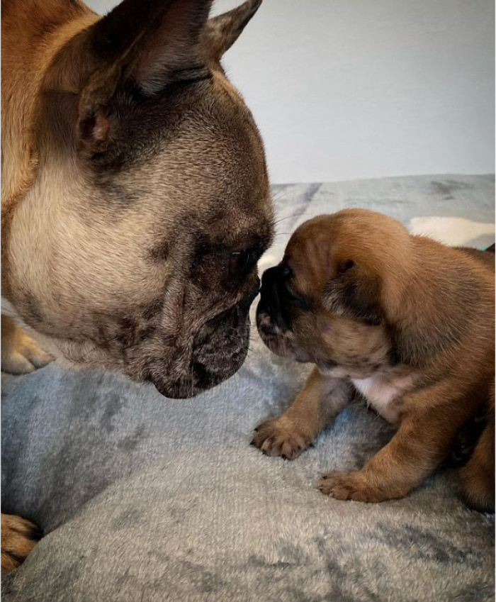 24. Close inspection by Dad