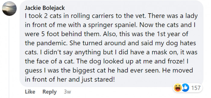 20. It was definitely the biggest cat he'd ever seen