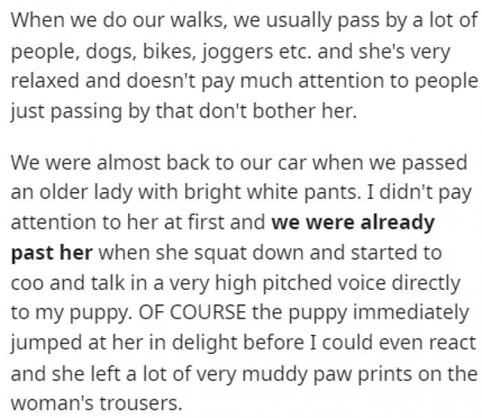Unlike most puppies, this good girl is super relaxed during her walk, but after the lady called her, she got excited and jumped on her.
