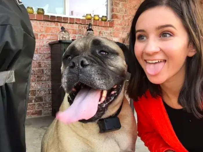 19. Both of them just want some treats