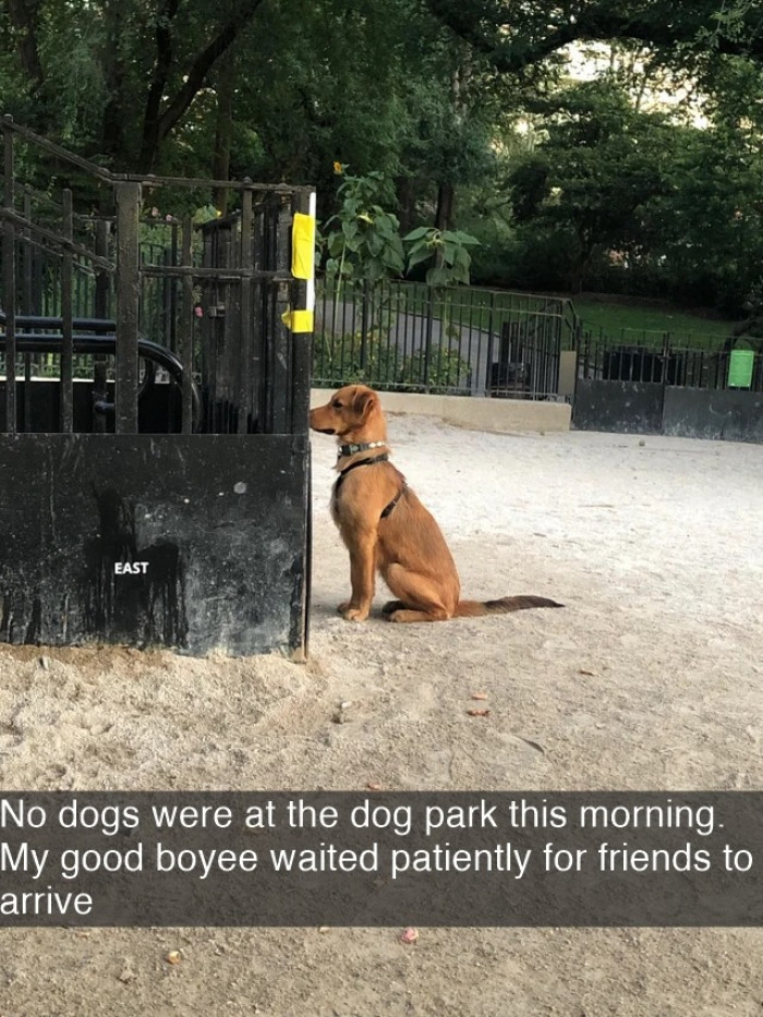 10. This doggo is demonstrating the act of friendship