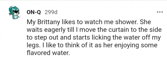 4. My Brittany Licks the Water Off My Legs