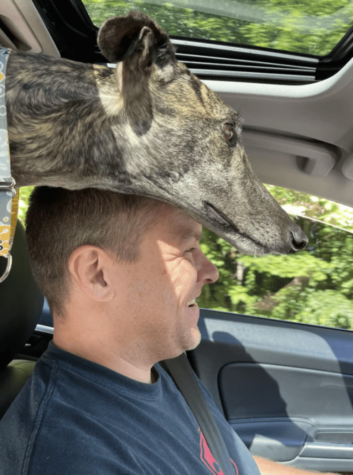 3. "Hey dad, are we almost there?"