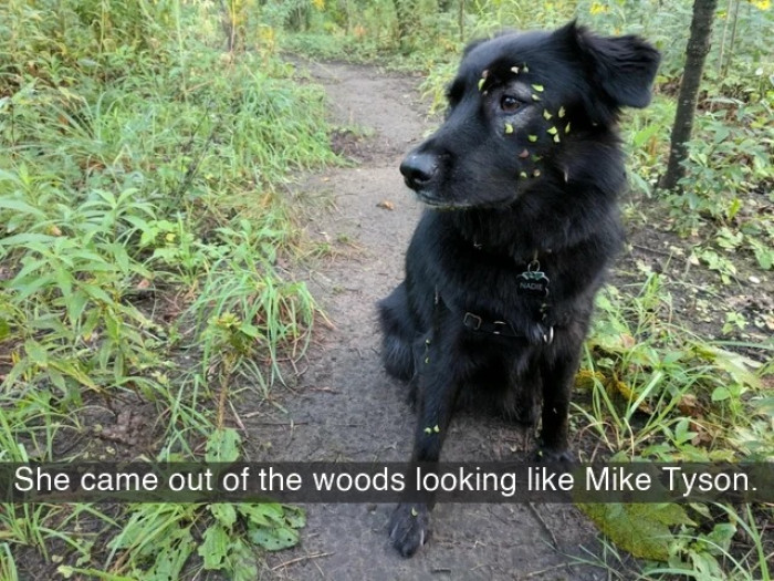 8. The newest type of tattoo in town - leaves tattoo