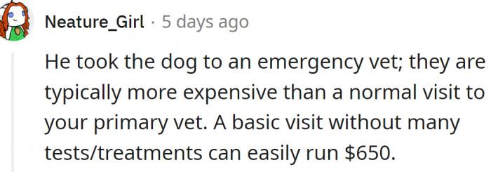 Emergency vets cost a lot