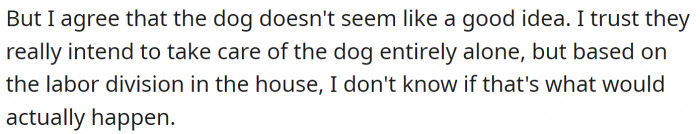 Getting a dog is not a good idea.