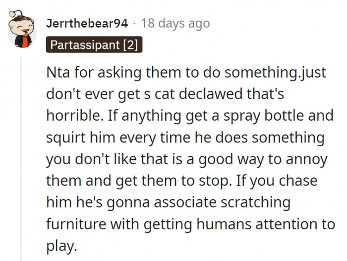 4. The cat owner should be the one responsible for thinking of things to do about their cat