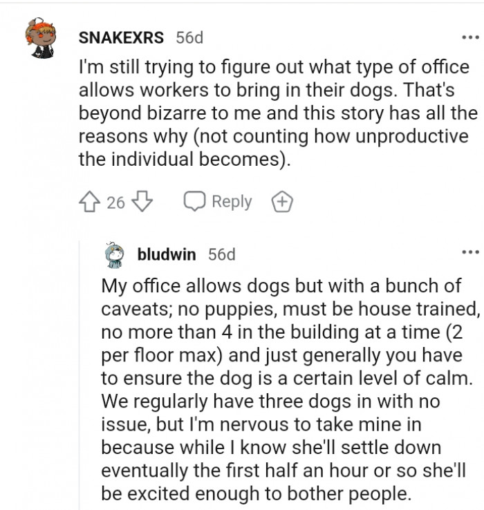 19. There are offices that allow dogs