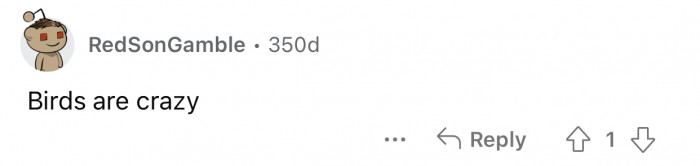 Bird law in this country is not governed by reason.