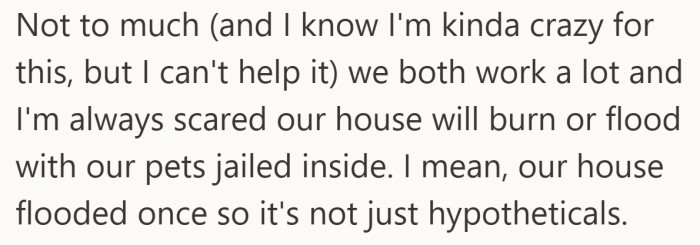 Working long hours means leaving the house and the pets alone. Past emergencies make that absence feel dangerous instead of routine.