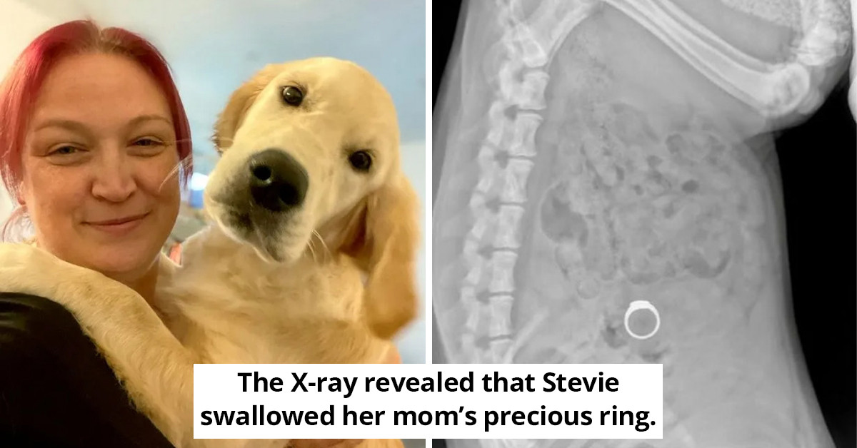 Shocking Moment Woman Loses Her Diamond Engagement Ring But Later