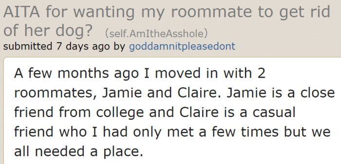 Three friends decided to rent a place.