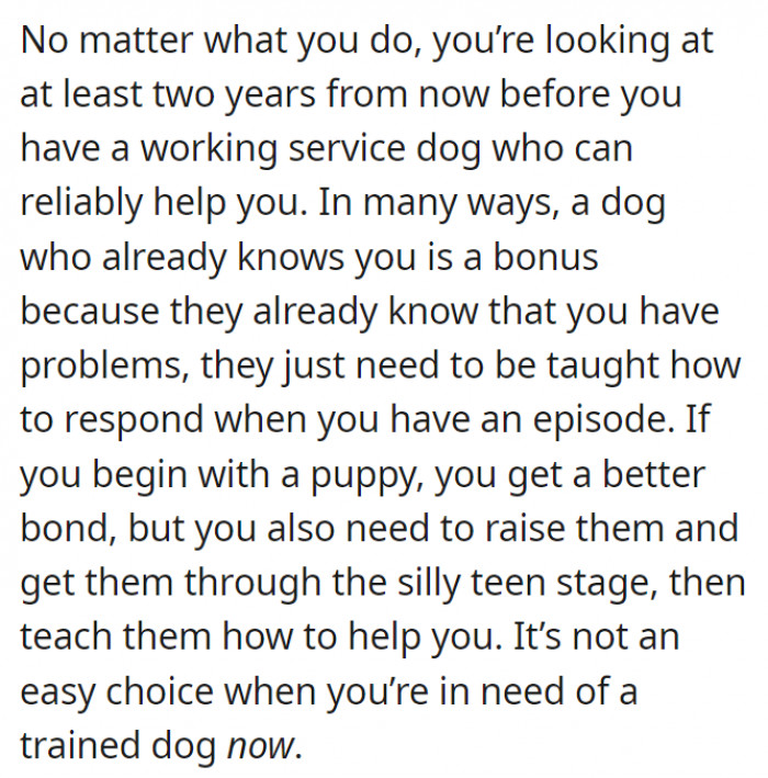 Training a service dog will take time before they can perfectly respond to the needs of their owner