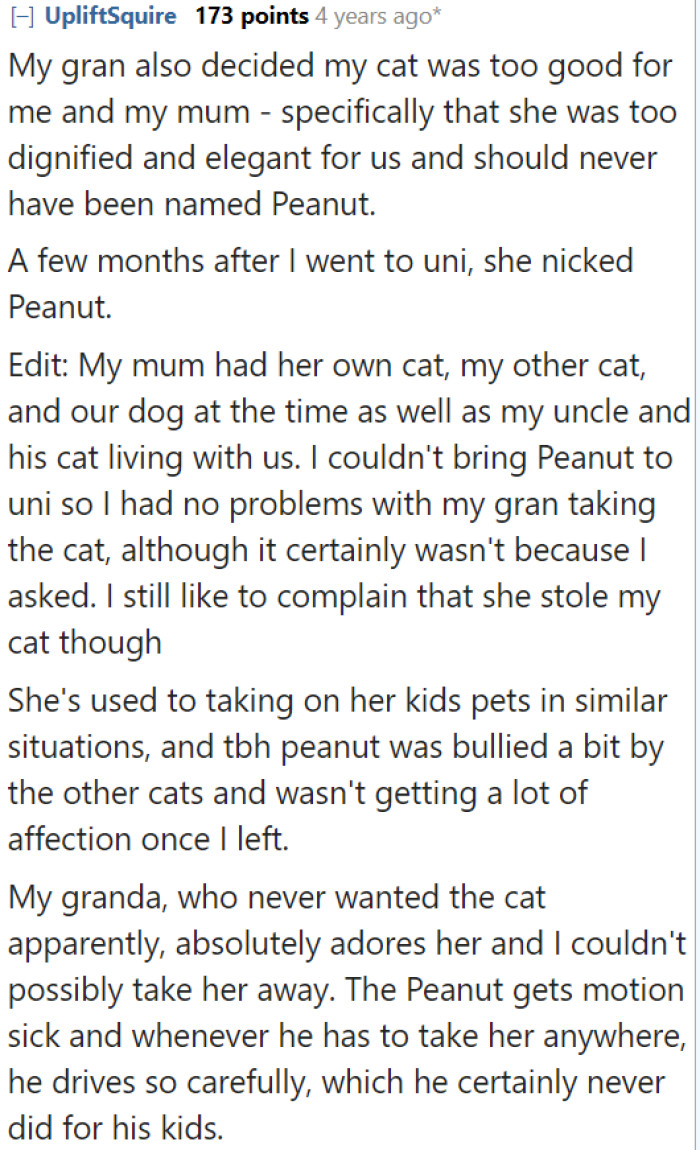 Another Redditor Shares a Story of How Their Cat Was Stolen by a Relative