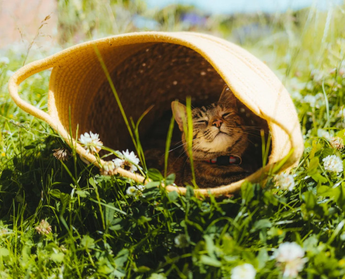 17. Enjoying the outdoors under a comfy shade