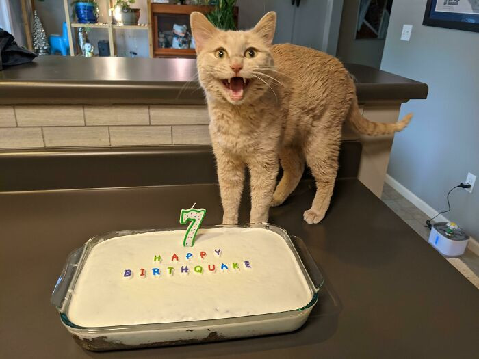 10. It Is Earthquake's Birthday Today!