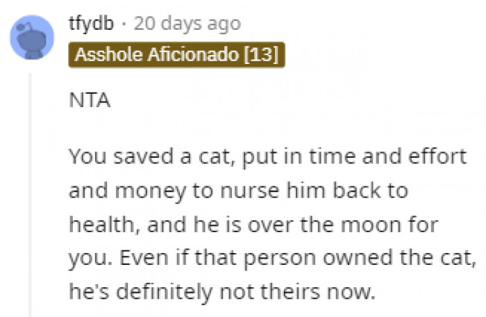 A Lot Was Invested in the Cat