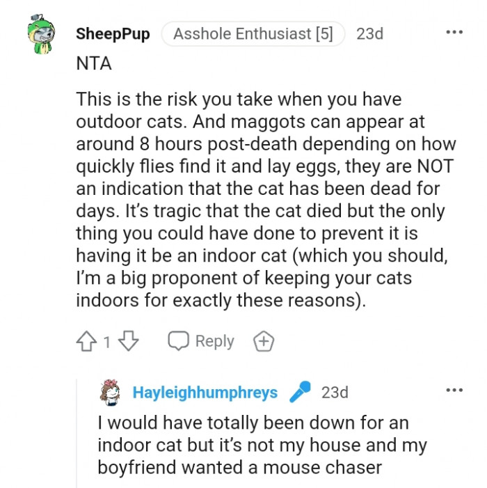 It is tragic that the cat died