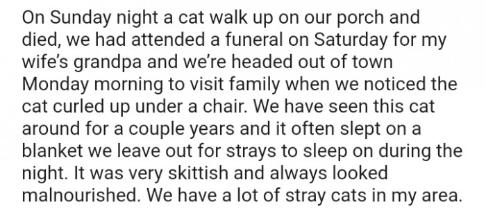 We have seen this cat around for a couple of years.