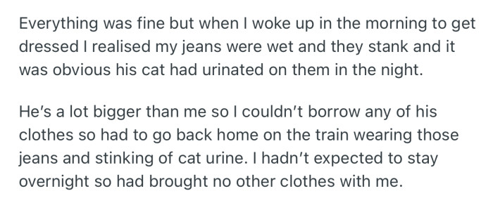 OP woke up to realize that his brother’s cat had peed on his jeans