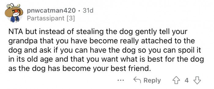 Dog with worried expression, highlighting consequences of prolonged animal maltreatment