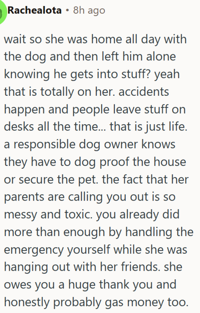 OP handled the dog emergency alone while his owner was out with friends
