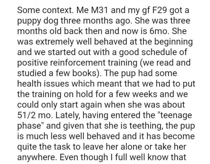 We started out with a good schedule of positive reinforcement training