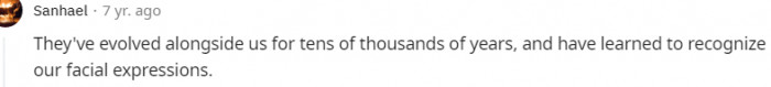 16. They have learned to recognize our facial expressions