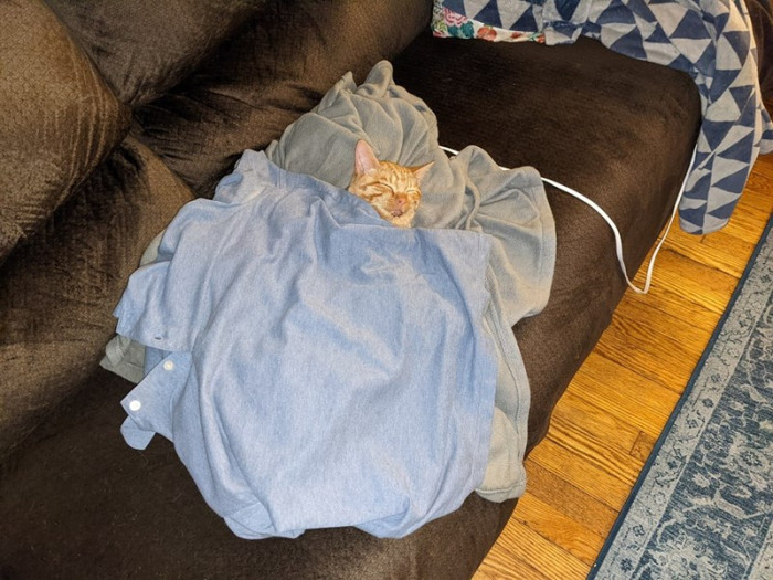 That's the story of Teddy