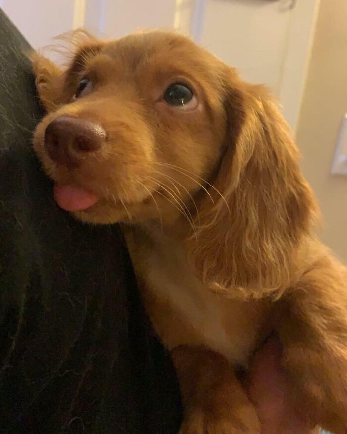 17. A gaze soft enough to melt anyone’s heart