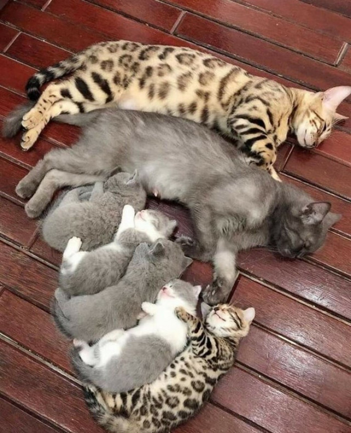 19. "We are family!"