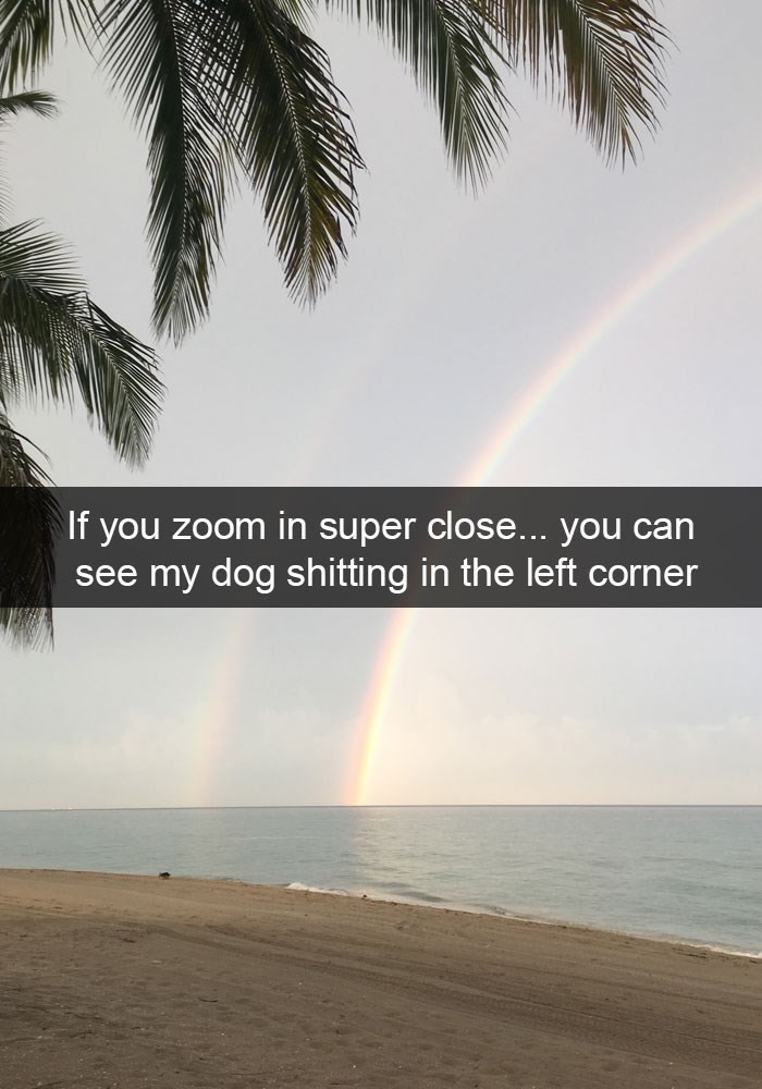 8. The one who took this photo isn't lying.