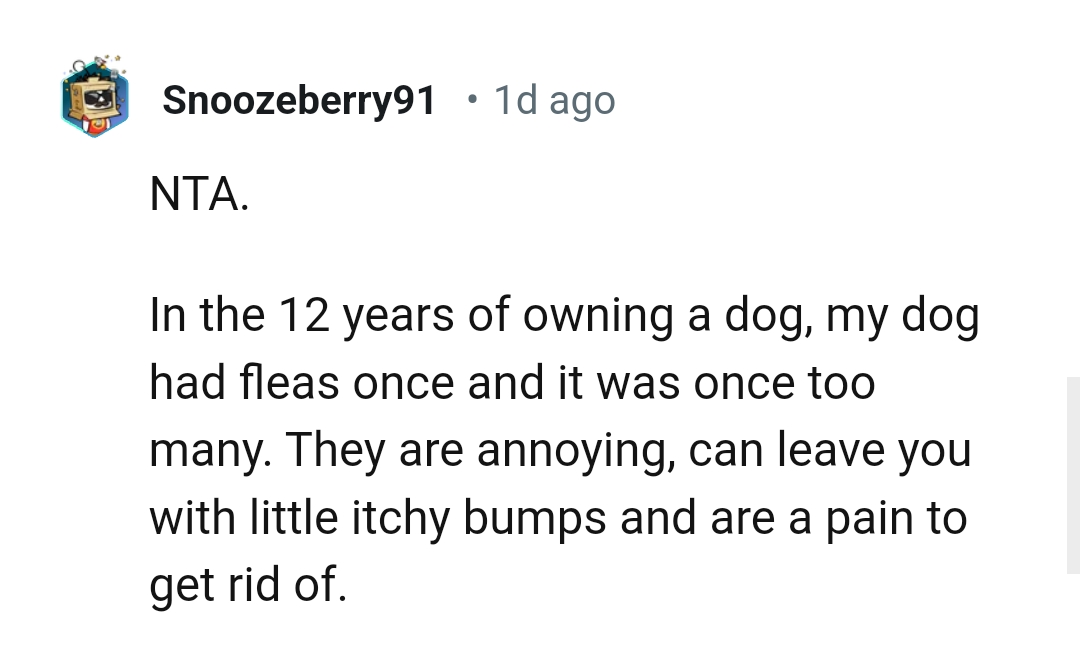 We've gathered some of the most upvoted comments from other Redditors for you to read through below