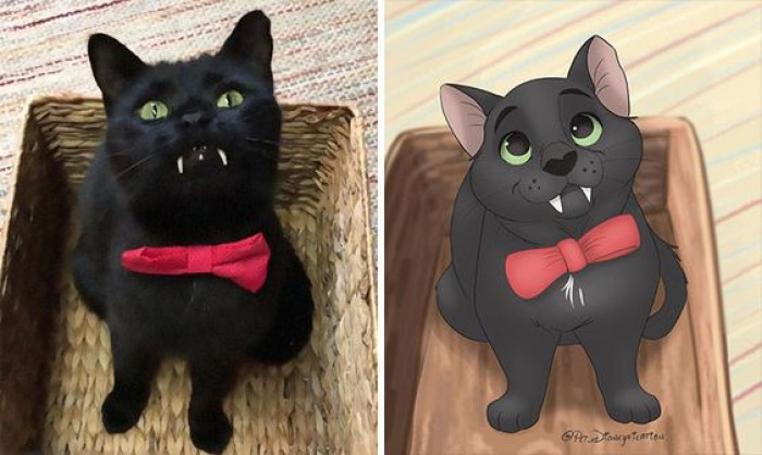 29. Monk from @monkandbean has the cutest lil’ vampire fangs!