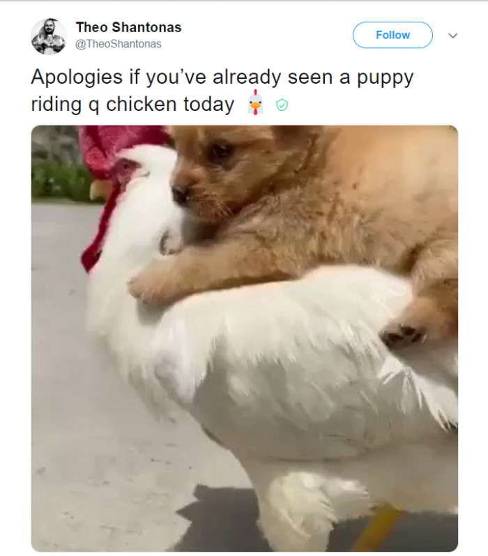 29. No apologies necessary