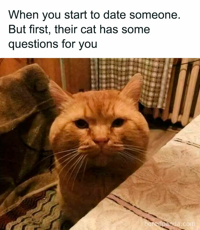 53. You must answer them right