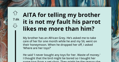 Man Accuses His Brother Of Buying His Parrot's Affection With Toys, Redditors React