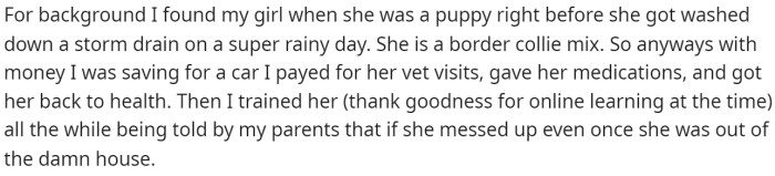 Then she goes into giving background on her dog and how she got her.