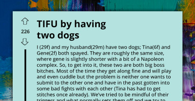 Owner Feels Deep Remorse After Her Two Dominant Dogs Engage in Violent Clash