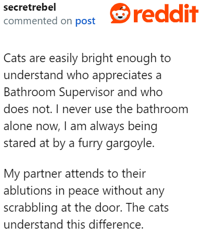 Even a cat owner took the OP's side.