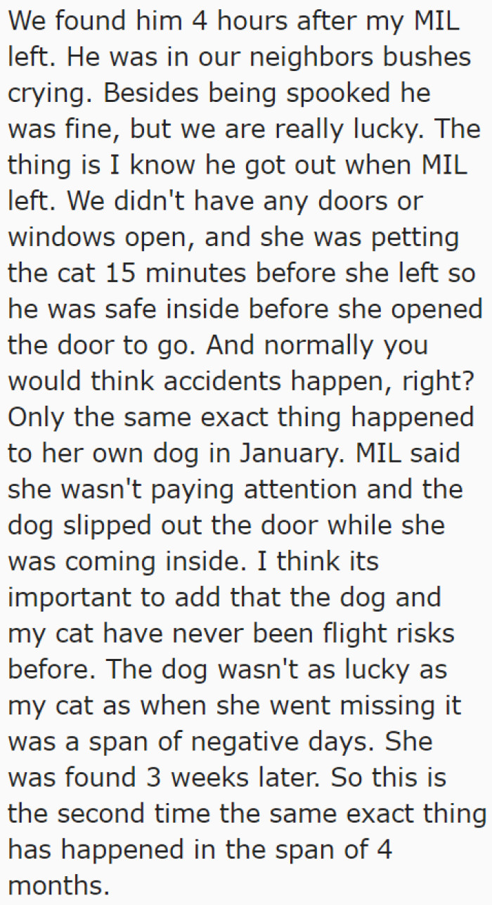 Because of the MIL's obliviousness, the cat escaped through the front door.