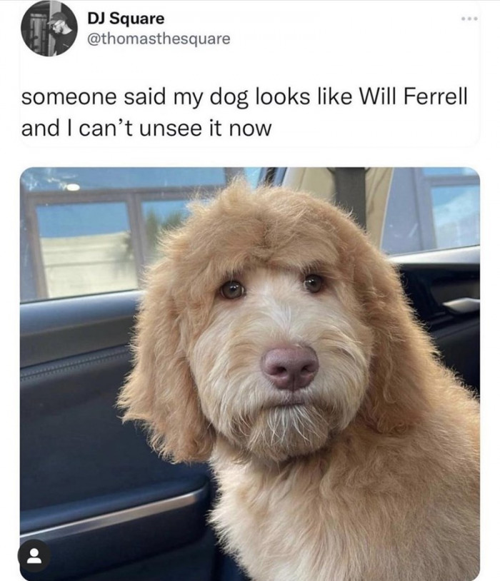 4. Someone's got a point. We can't unsee it now, too.