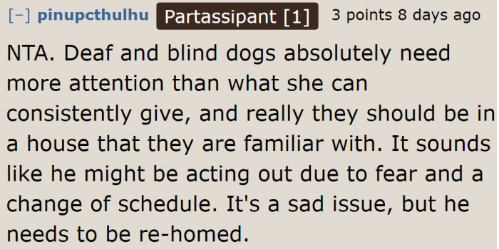 The roommate isn't providing the dog with the extra care it needs.