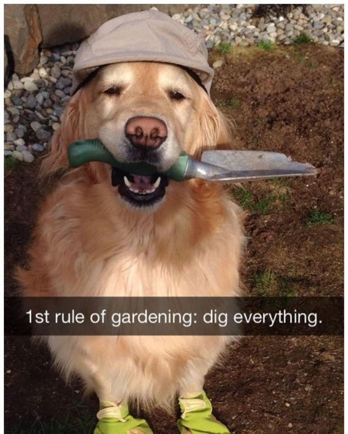 17. And be happy while digging